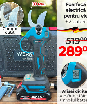 🔋 Foarfeci și drujbe cu acumulator WERKBULL