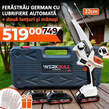 Werkbull power tool set with case on a wooden surface outdoors
