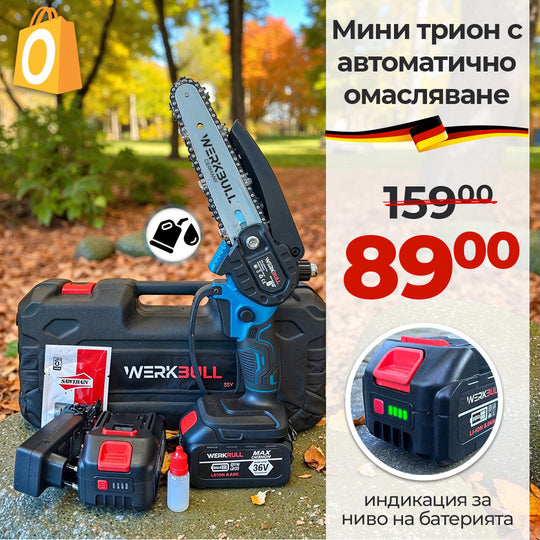 Mini fierăstrău cu ungere automată + 2 baterii și 2 lanțuri WerkBull Germany 36V / 8Ah